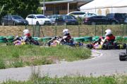 20110501_ales_agnus (2702)